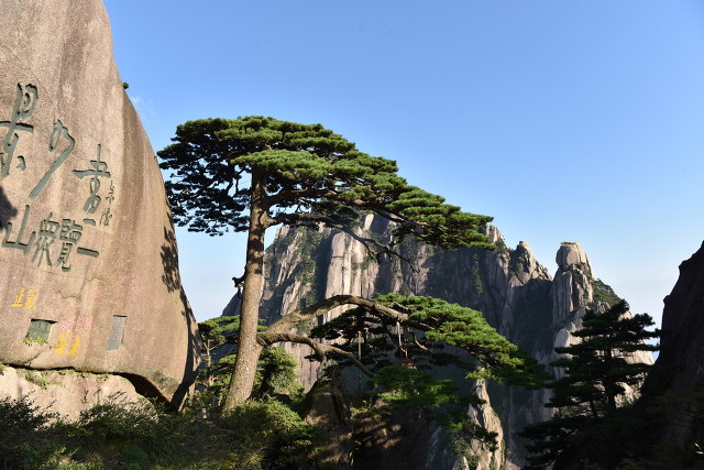 中(zhong)國(guo)20箇(ge)美豔絕倫的(de)景觀，你去過(guo)10箇(ge)就算旅遊達人(ren)啦