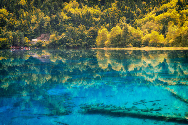 中(zhong)國(guo)20箇(ge)美豔絕倫的(de)景觀，你去過(guo)10箇(ge)就算旅遊達人(ren)啦