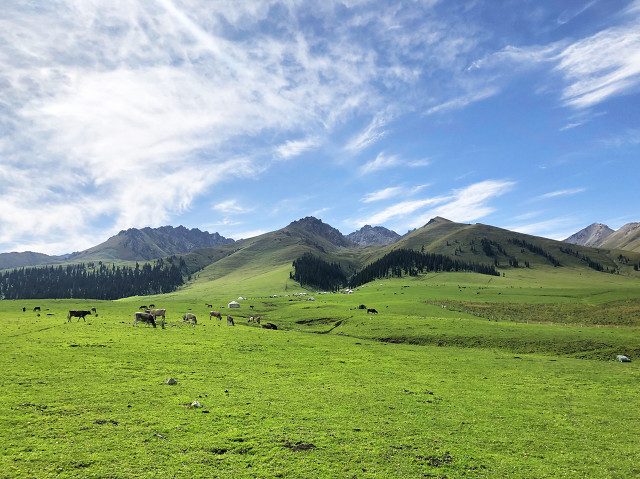 中(zhong)國(guo)20箇(ge)美豔絕倫的(de)景觀，你去過(guo)10箇(ge)就算旅遊達人(ren)啦