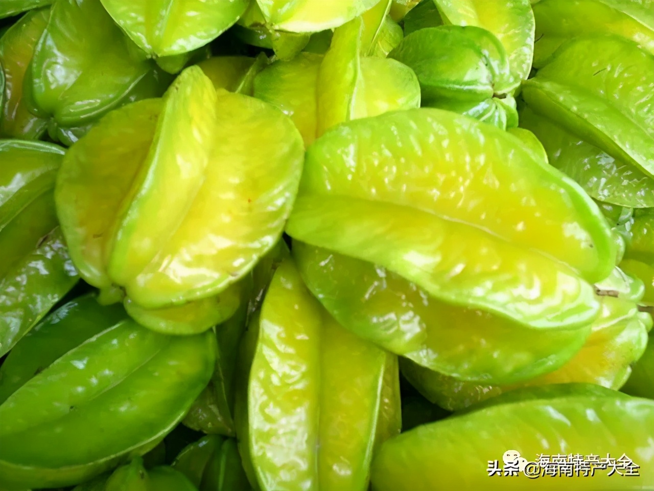 海南(nan)熱帶水果全介紹（第2篇）